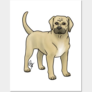 Dog - Cane Corso - Natural Fawn Posters and Art